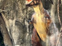 -昆明动物园