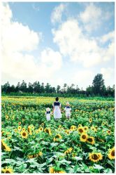-蜜糖派儿童摄影(青建·太阳岛店)