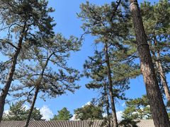 -承德避暑山庄景区