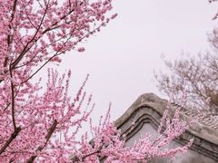-三里河公园