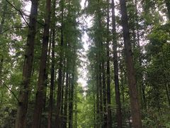 -上海怡沁园度假酒店