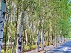 -吉林大学前卫校区南区-日新楼