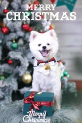 -后宫·古装汉服京剧儿童亲子全家福摄影