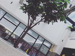 -大树餐厅(红旗街万达店)