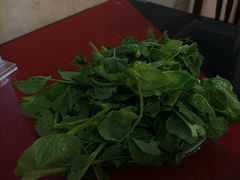 -花水湾红太阳牛肉汤锅