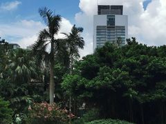 -九龙公园