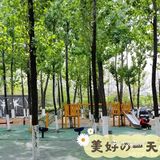 娃娃感受自然，放手奔跑的一天