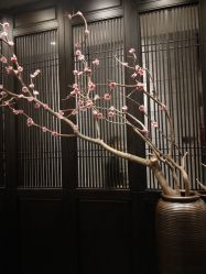 点击看大图 -盘子女人坊古装写真摄影(深圳店)