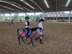 -重庆和泰马术俱乐部