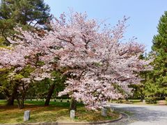 -京都御所