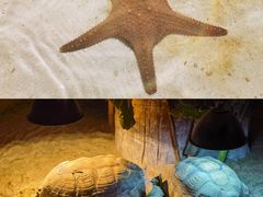 -绿色星球动物主题公园