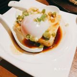 肉食动物必打卡