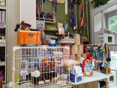 -唐小姐の私宠·宠物洗护美容·撸猫馆·购宠(周浦万达旗舰店)