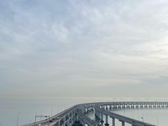 -星海湾跨海大桥