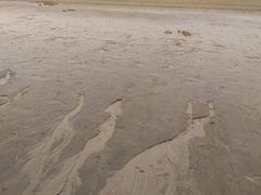 -东疆理想海岸沙滩景区