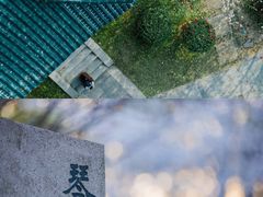 -月湖风景区