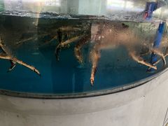 -林姐香味海鲜(丁村万人海鲜广场店)