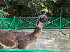 -杭州野生动物世界