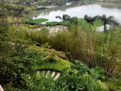 -万达广场(南宁青秀店)