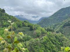 -石台牯牛降景区