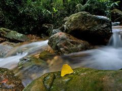 -牛鱼嘴原始生态风景区