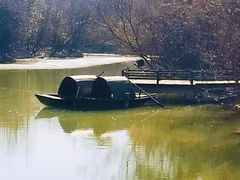 -上海吴淞炮台湾国家湿地公园