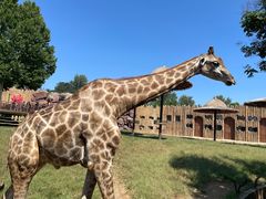 -济南野生动物世界