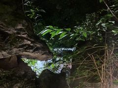 -大妙火锅·非物质文化遗产(东湖公园店)