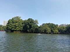 -荔湾湖公园