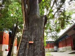 -北京国子监胡同