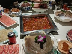 -二荆条·蜀鲜汇城市森林火锅