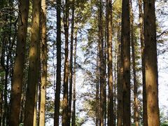 -同里国家湿地公园