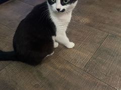 -路易时光(蕴川路店)