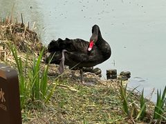 -长兴太湖图影湿地文化园