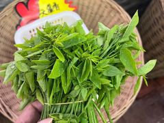 -绿雅居原生态农庄(小涌店)