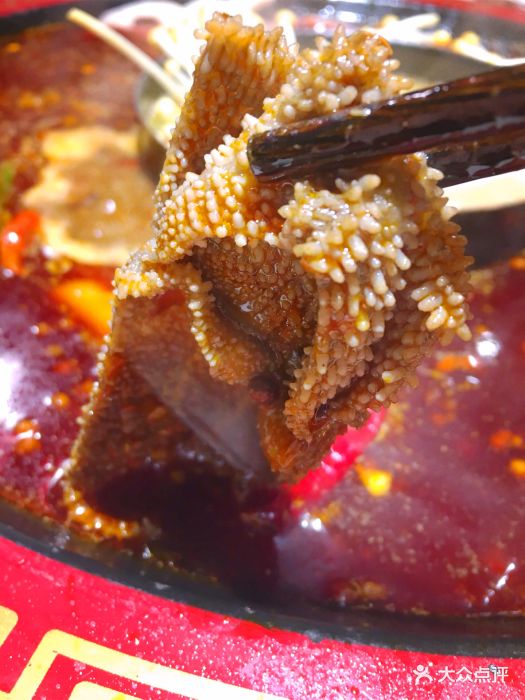 大味火锅(宽窄巷子旗舰店)生态鲜毛肚图片 - 第2张