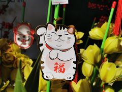 -溪岸路花鸟市场