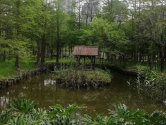 -厦门园林博览苑