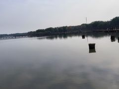 -西青郊野公园