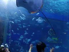 -邯郸海洋世界