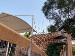 -泉州海丝野生动物世界