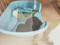 -小小班私人影院·猫咖(万达茂广场店)