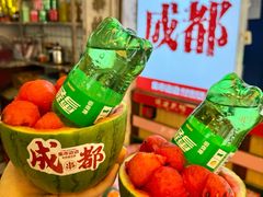 -田园印象·成都土菜院子(华阳店)