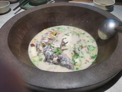 -鲜潭蒸汽石锅鱼(五道口购物中心店)
