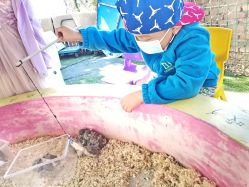 -萌宠亲子动物乐园(槐房万达店)