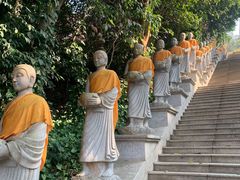 -西双版纳勐泐文化旅游区