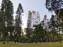 -人民公园(罗湖区)