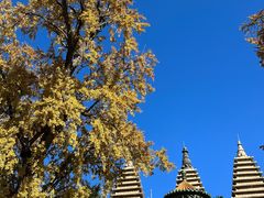 -北京石刻艺术博物馆(五塔寺)