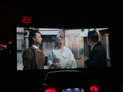 -枫花园汽车电影院(朝阳公园店)