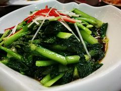 -京都饺子(双塔西街店)